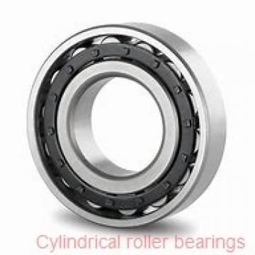 2.559 Inch | 65 Millimeter x 5.512 Inch | 140 Millimeter x 1.89 Inch | 48 Millimeter  NSK NU2313W  Cylindrical Roller Bearings