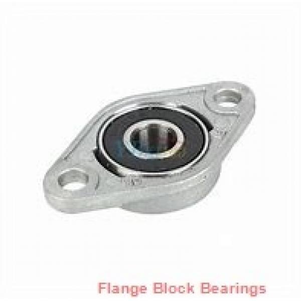 DODGE F4B-SLX-200  Flange Block Bearings #1 image