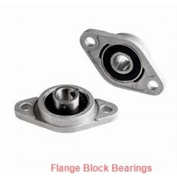 DODGE F2B-DL-100-NL  Flange Block Bearings #1 image