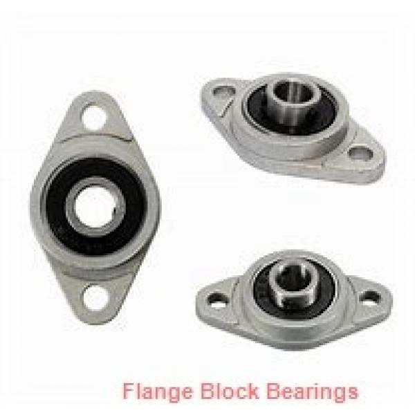 DODGE F2B-SL-015  Flange Block Bearings #1 image